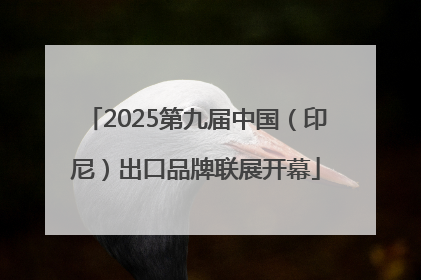 2025第九届中国（印尼）出口品牌联展开幕