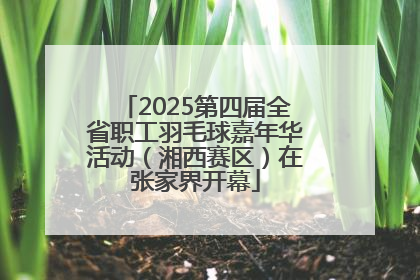 2025第四届全省职工羽毛球嘉年华活动（湘西赛区）在张家界开幕
