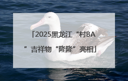 2025黑龙江“村BA”吉祥物“隆隆”亮相
