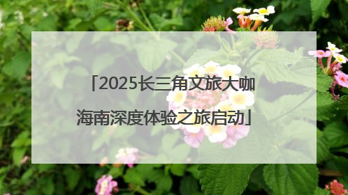 2025长三角文旅大咖海南深度体验之旅启动