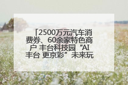 2500万元汽车消费券、60余家特色商户 丰台科技园“AI丰台 更京彩”未来玩家市集活动正式开幕