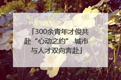 300余青年才俊共赴“心动之约” 城市与人才双向奔赴