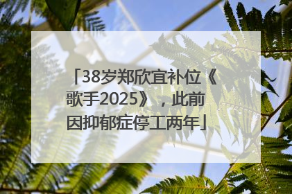 38岁郑欣宜补位《歌手2025》，此前因抑郁症停工两年