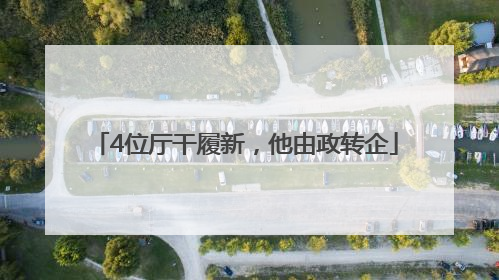4位厅干履新，他由政转企