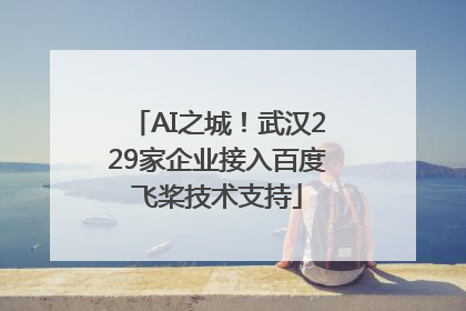 AI之城！武汉229家企业接入百度飞桨技术支持