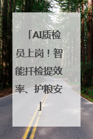 AI质检员上岗！智能扦检提效率、护粮安